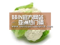 产品名称九