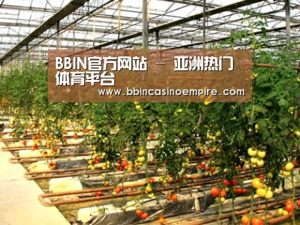 种植基地二