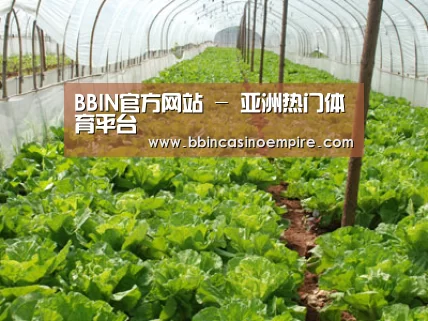 种植基地五