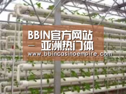 环境展示六