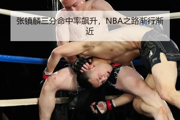 张镇麟三分命中率飙升，NBA之路渐行渐近